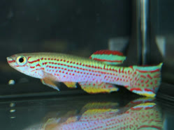 02-0-Copr_2025-John_Stel.jpg 02-0-Copr_2025-John_Stelt.jpg