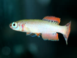 04-0-Copr_2025-John_Stel.jpg 04-0-Copr_2025-John_Stelt.jpg