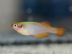 07-0-Copr_2025-John_Stel.jpg 07-0-Copr_2025-John_Stelt.jpg