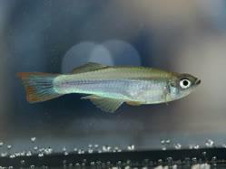 09-0-Copr_2025-John_Stel.jpg 09-0-Copr_2025-John_Stelt.jpg