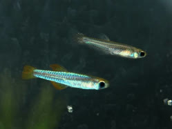 10-0-Copr_2025-John_Stel.jpg 10-0-Copr_2025-John_Stelt.jpg