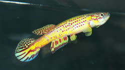 19-0-Copr_2025-John_Stel.jpg 19-0-Copr_2025-John_Stelt.jpg