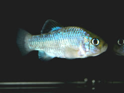 20-0-Copr_2025-John_Stel.jpg 20-0-Copr_2025-John_Stelt.jpg