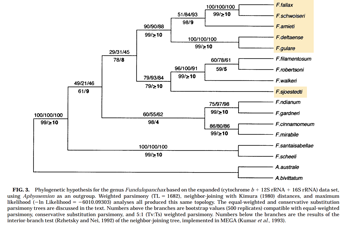 00-0-Copr_1998-Collier-FPX3t.png