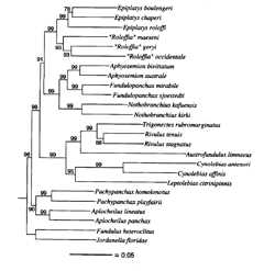 phylotree_97t.png